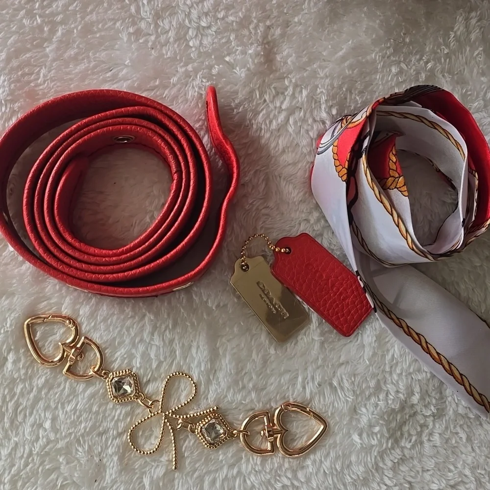 Coach EUC Large Duffle Bucket SAC  Pebbled LEATHER Ex LARGE - Picture 10 of 17